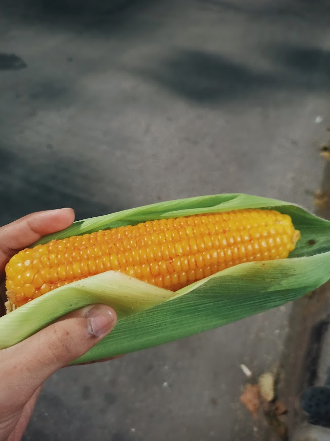 corn